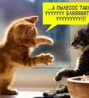 Очень страшные истории где всё не так страшно