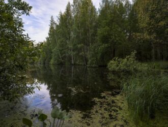 История из жизни — Странное озеро